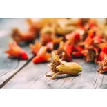Organic dried pomegranate flowers & fairtrade from Uzbekistan