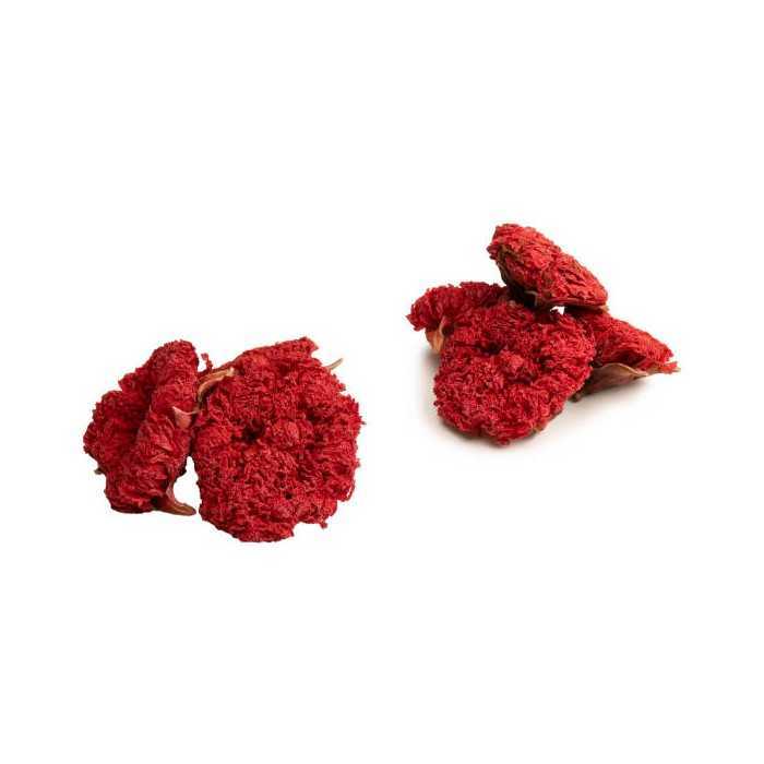 Organic dried pomegranate flowers & fairtrade from Uzbekistan