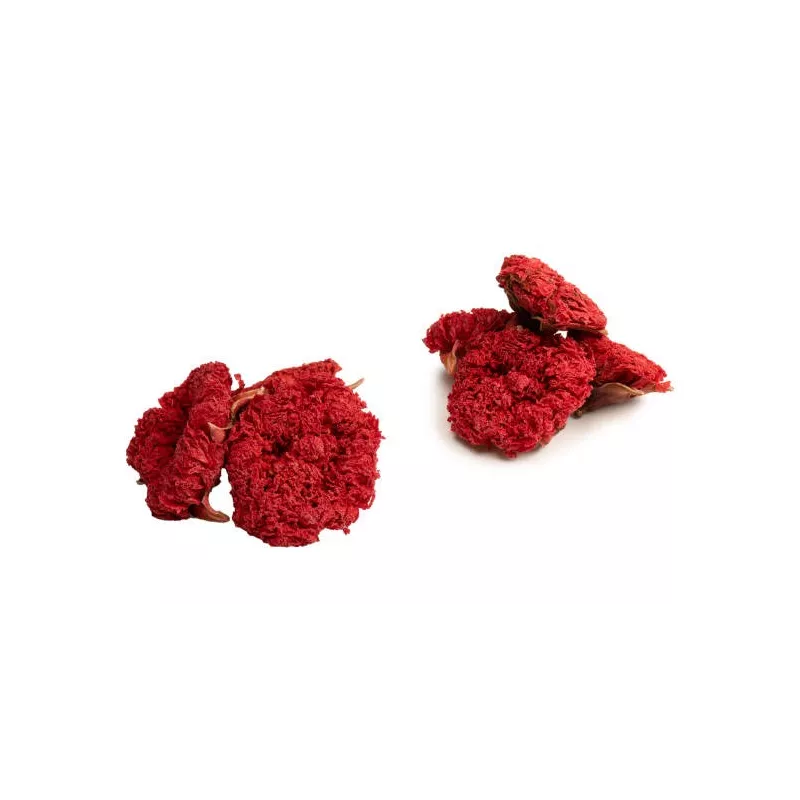 Organic dried pomegranate flowers & fairtrade from Uzbekistan