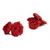 Organic dried pomegranate flowers & fairtrade from Uzbekistan