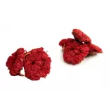 Organic dried pomegranate flowers & fairtrade from Uzbekistan