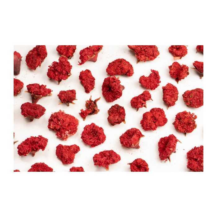 Organic dried pomegranate flowers & fairtrade from Uzbekistan