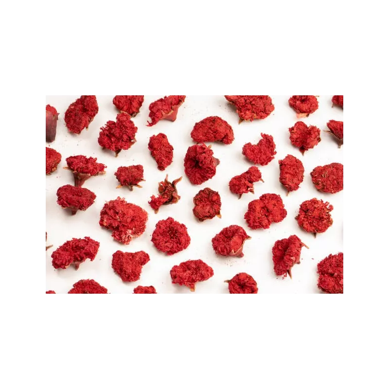 Organic dried pomegranate flowers & fairtrade from Uzbekistan