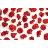 Organic dried pomegranate flowers & fairtrade from Uzbekistan