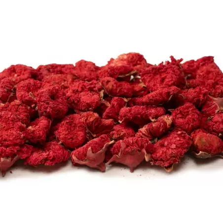 Organic dried pomegranate flowers & fairtrade from Uzbekistan