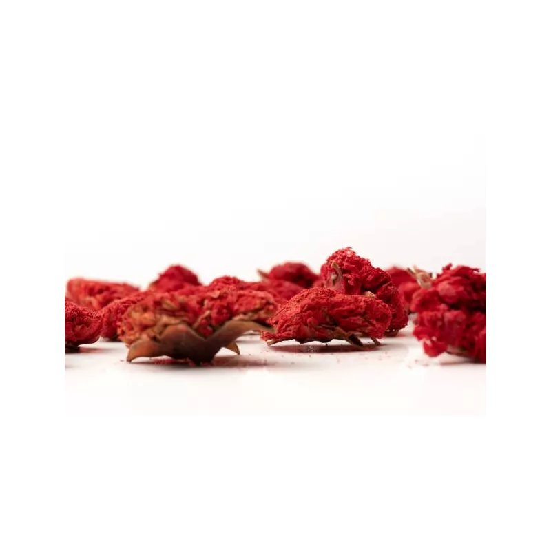 Organic dried pomegranate flowers & fairtrade from Uzbekistan