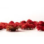 Organic dried pomegranate flowers & fairtrade from Uzbekistan