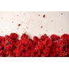 Organic dried pomegranate flowers & fairtrade from Uzbekistan