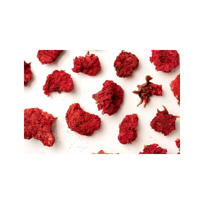 Organic dried pomegranate flowers & fairtrade from Uzbekistan