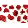 Organic dried pomegranate flowers & fairtrade from Uzbekistan