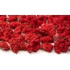 Organic dried pomegranate flowers & fairtrade from Uzbekistan