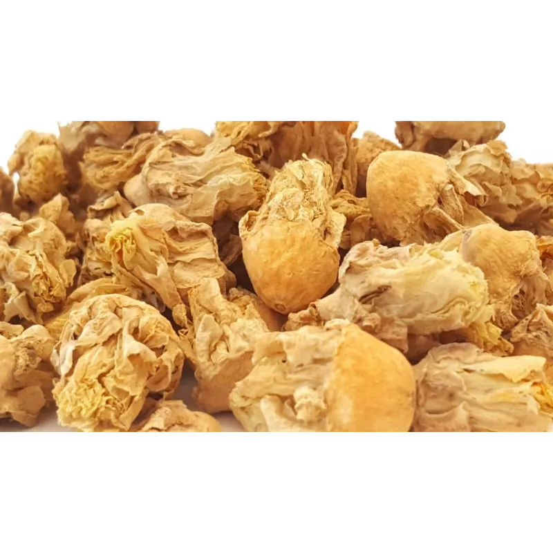 Fleurs de figuier de barbarie séchées bio du Maroc
