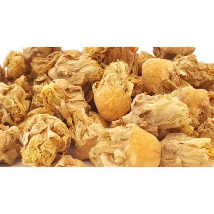 Organic dried prickly pear flower from Morocco