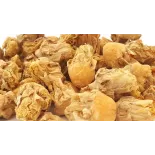Fleurs de figuier de barbarie séchées bio du Maroc