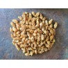 Organic dried prickly pear flower from Morocco