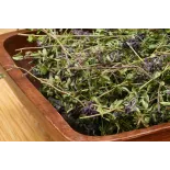 Fleurs de thym séchées bio de France - direct producteur