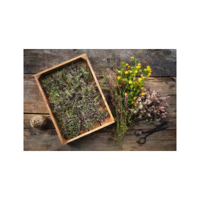 Fleurs de thym séchées bio de France - direct producteur