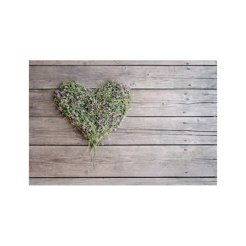 Organic dried flowers thyme From France - direct producer