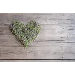 Organic dried flowers thyme From France - direct producer
