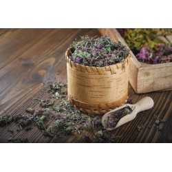 Organic dried flowers thyme From France - direct producer