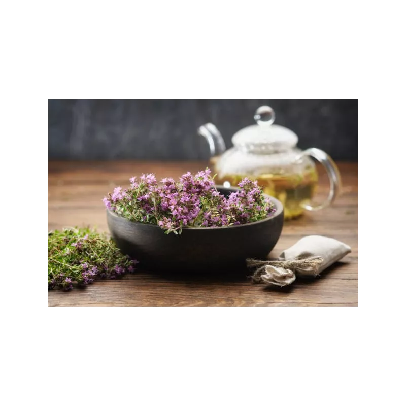 Fleurs de thym séchées bio de France - direct producteur