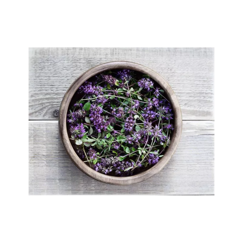 Fleurs de thym séchées bio de France - direct producteur