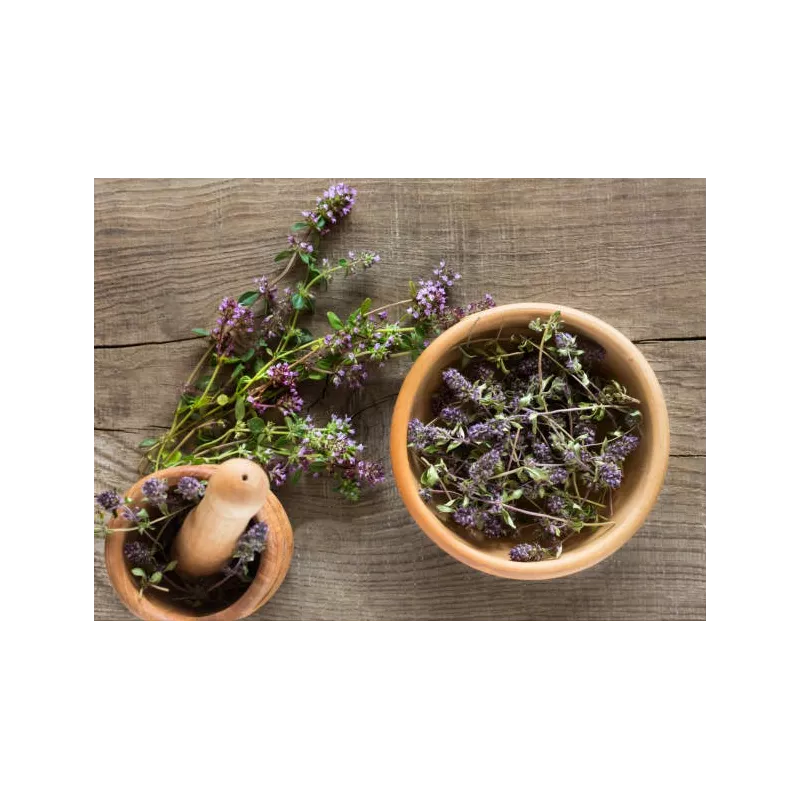 Fleurs de thym séchées bio de France - direct producteur