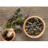 Fleurs de thym séchées bio de France - direct producteur