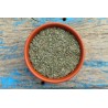 Organic dried thyme PGI PDO from Provence - direct producer