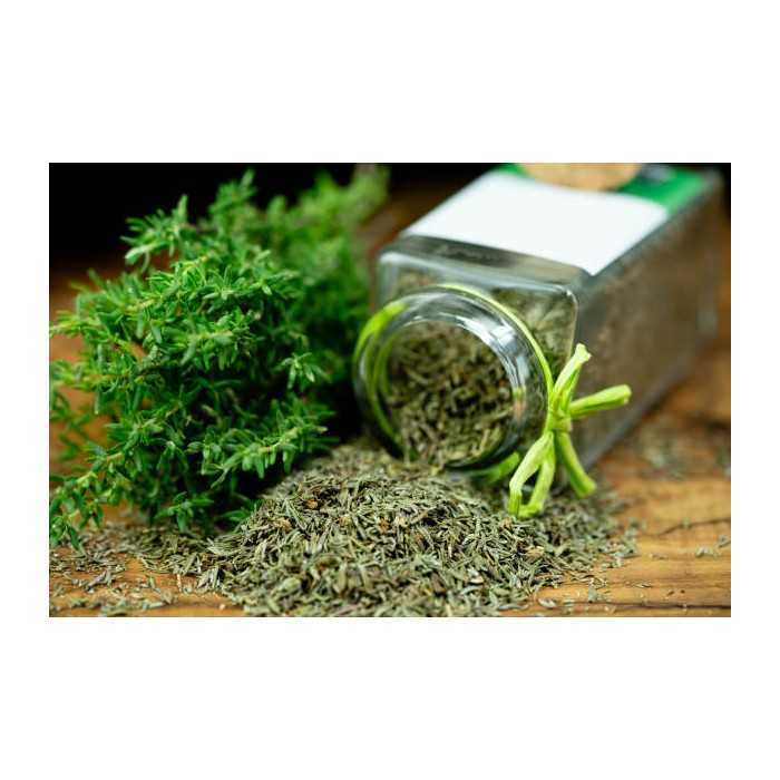 Organic dried thyme PGI PDO from Provence - direct producer