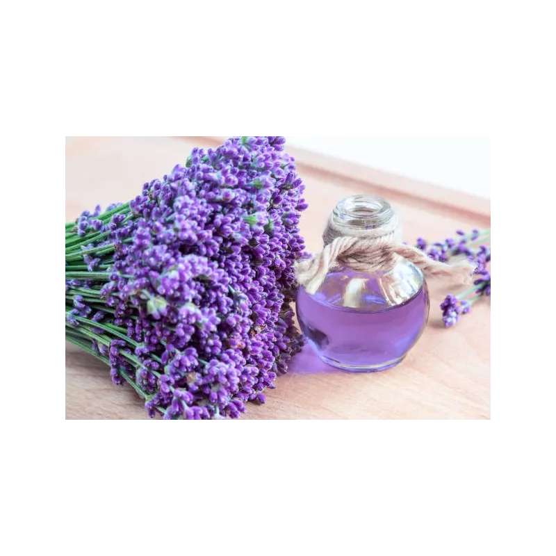 Eau de fleurs de lavande fine bio de Provence - Direct producteur