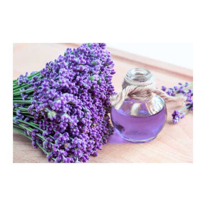 Organic fine lavender flower water from Provence - Direct producer