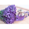 Organic fine lavender flower water from Provence - Direct producer