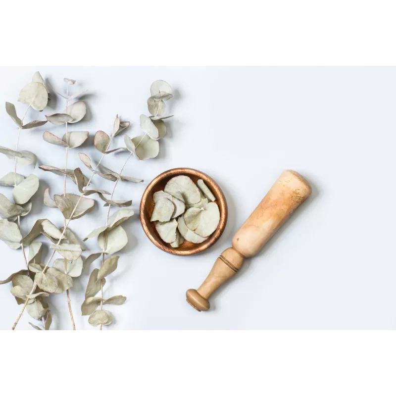 Organic dried eucalyptus leaves from Portugal