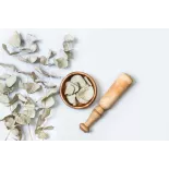 Organic dried eucalyptus leaves from Portugal