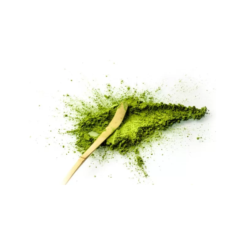 Chashaku ou spatule traditionnelle pour Matcha en bambou - Handmade