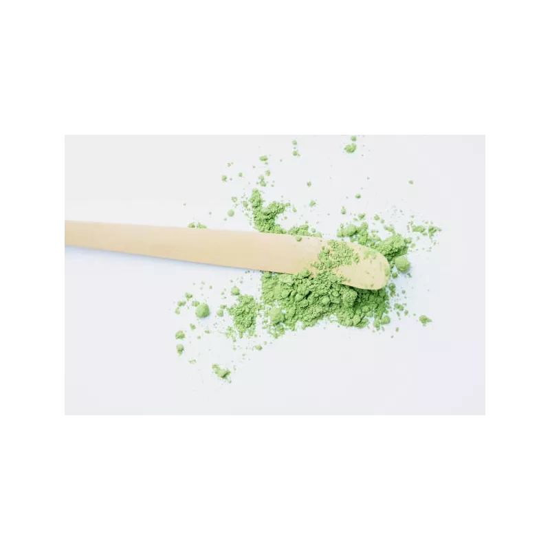 Chashaku ou spatule traditionnelle pour Matcha en bambou - Handmade