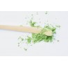 Traditional bamboo chashaku or spatula for Matcha - Handmade