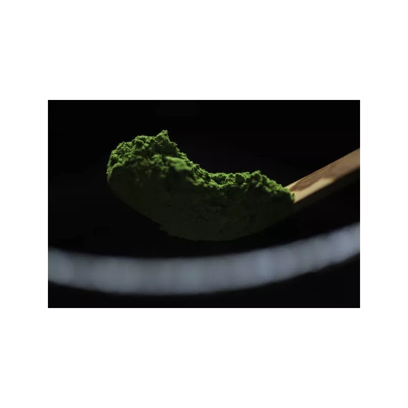 Chashaku ou spatule traditionnelle pour Matcha en bambou - Handmade