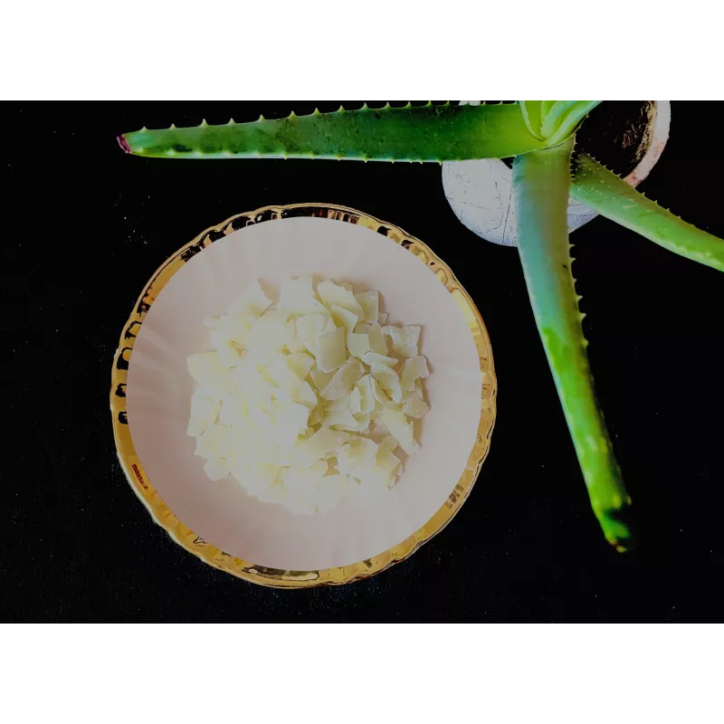 Aloe Vera confit naturel d'Espagne