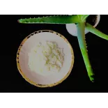 Aloe Vera confit naturel d'Espagne