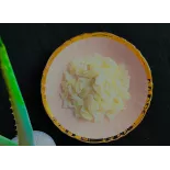 Aloe Vera confit naturel d'Espagne