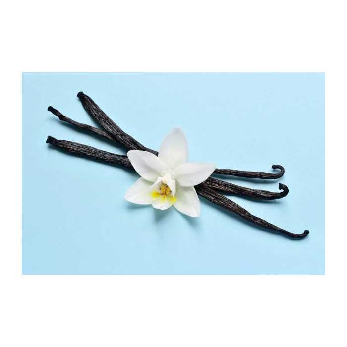 Organic & fairtrade Bourbon vanilla from Madagascar gourmet 14 / 17...