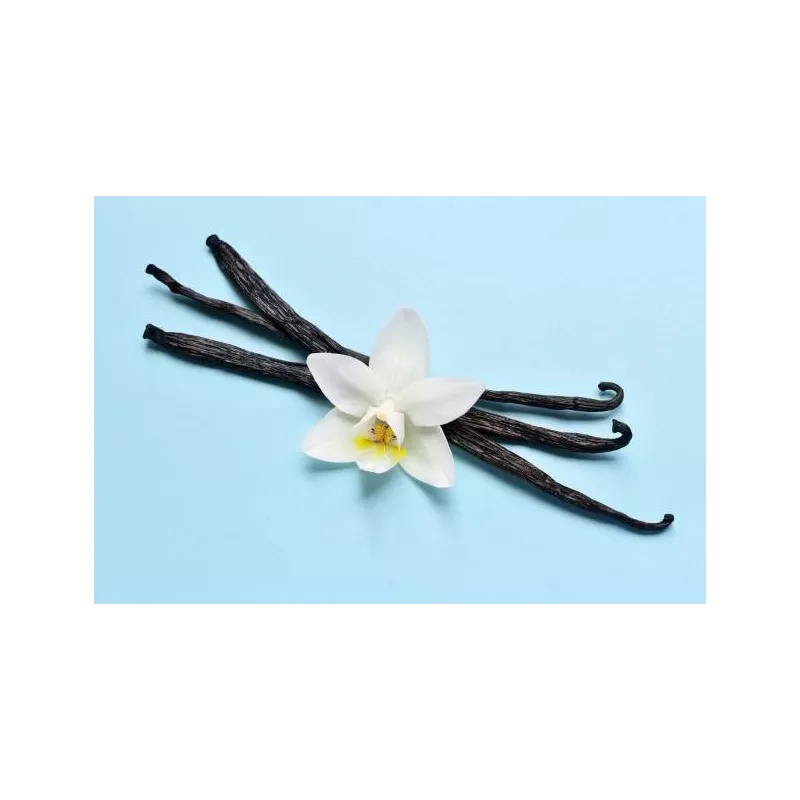 Vanille Bourbon de Madagascar gourmet 14/17cm bio & équitable - 3 G...