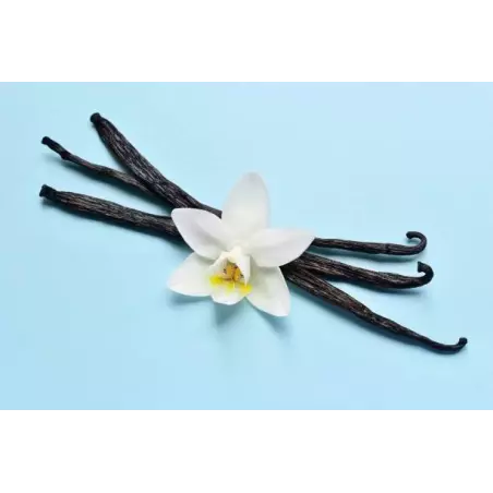 Vanille Bourbon de Madagascar gourmet 14/17cm bio & équitable - 3 G...