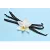 Organic & fairtrade Bourbon vanilla from Madagascar gourmet 14 / 17...