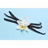 Vanille Bourbon de Madagascar gourmet 14/17cm bio & équitable - 3 G...