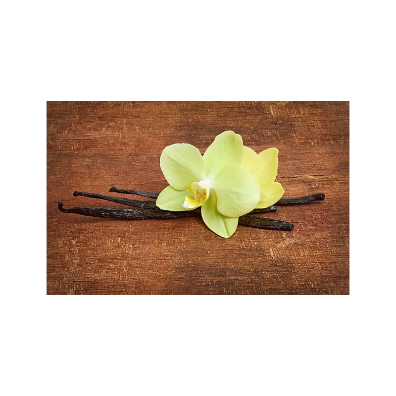 Organic & fairtrade Bourbon vanilla from Madagascar gourmet 14 / 17...