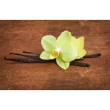 Organic & fairtrade Bourbon vanilla from Madagascar gourmet 14 / 17...