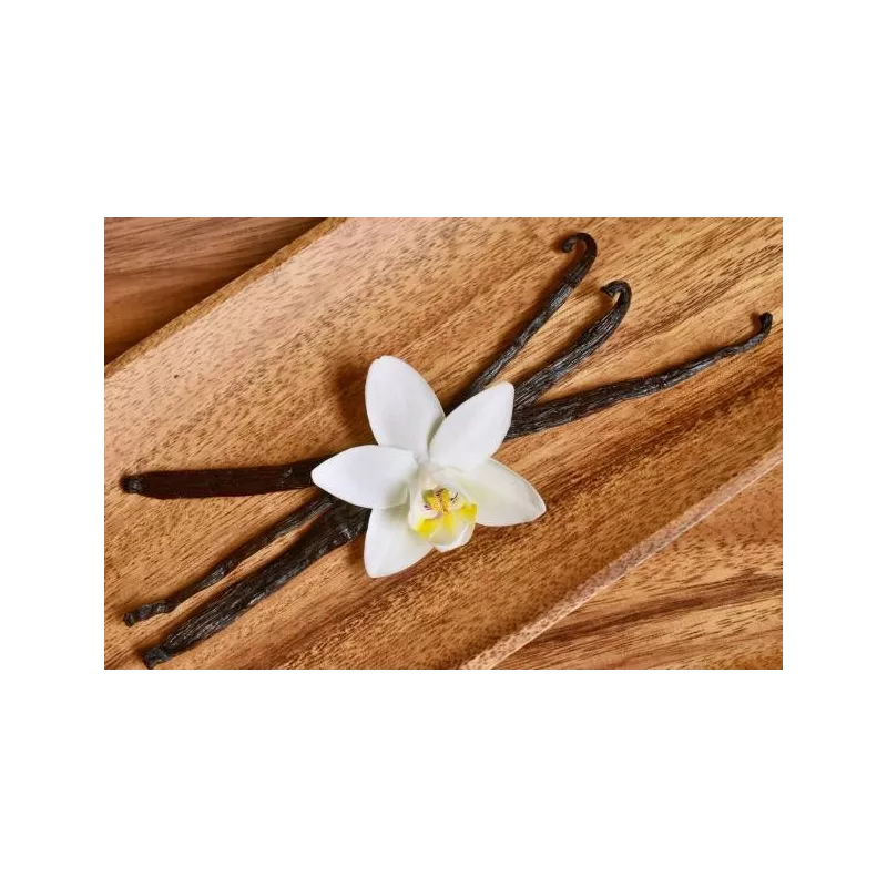Vanille Bourbon de Madagascar gourmet 14/17cm bio & équitable - 3 G...